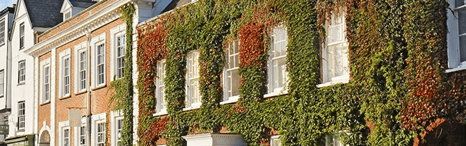 exeter insolvency practitioners