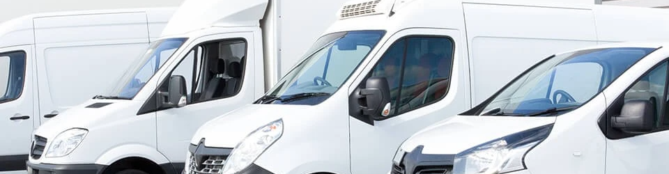 van monkey image