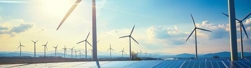 shutterstock 2459768029 1