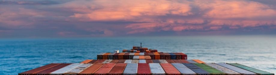 shutterstock_2602143339