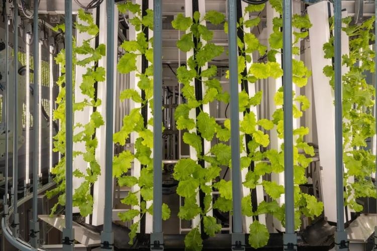 Sell side Advisory to GroWell Hydroponics