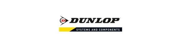 Growth Capital Advisory to Dunlop Systems & Components 1